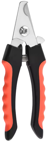 Regular Clippers