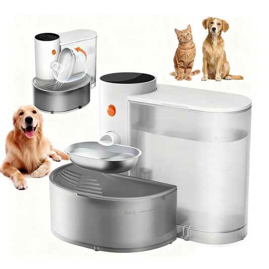 Stainless Steel Bowl Pet